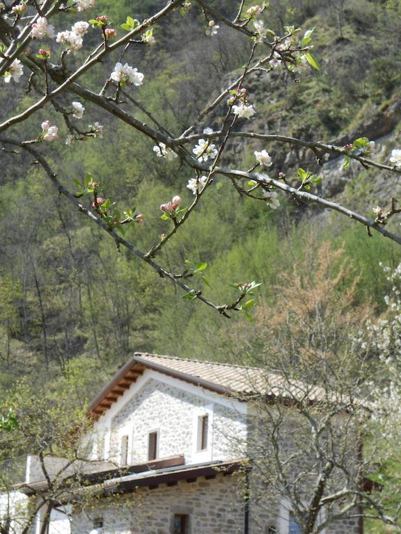 Alojamento de Turismo Rural Di Là Dall'acqua Fivizzano