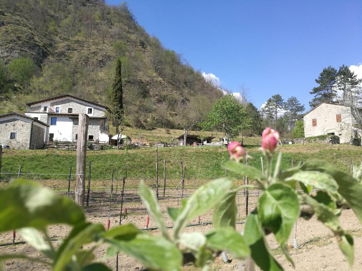 Alojamento de Turismo Rural Di Là Dall'acqua Fivizzano